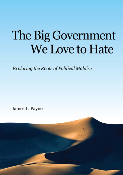 The Big Government We Love to Hate book cover